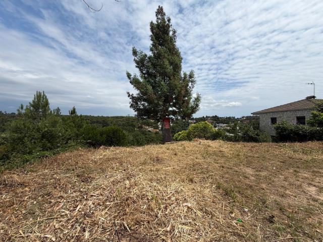 Terreno, Vidreres