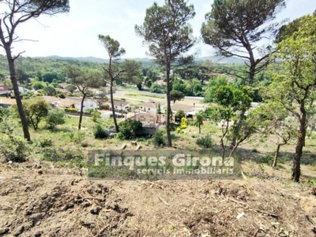 Terreno, Vidreres