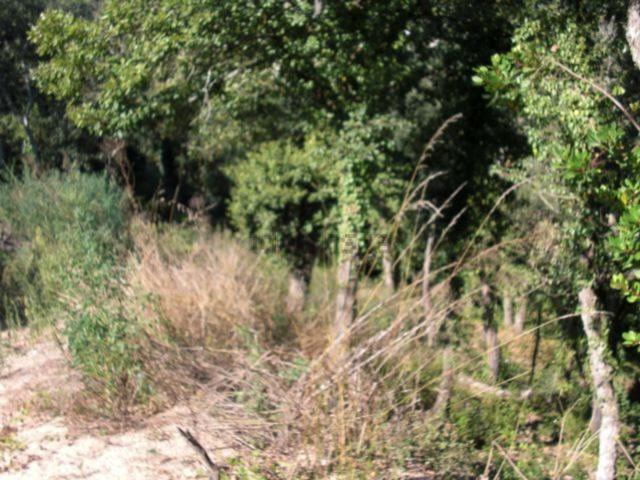 Terreno, Vidreres