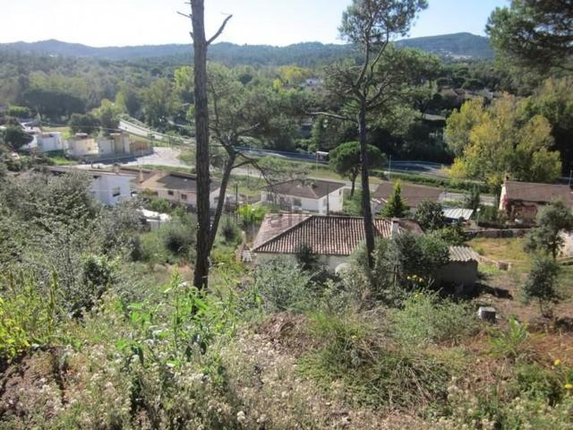 Terreno, Vidreres