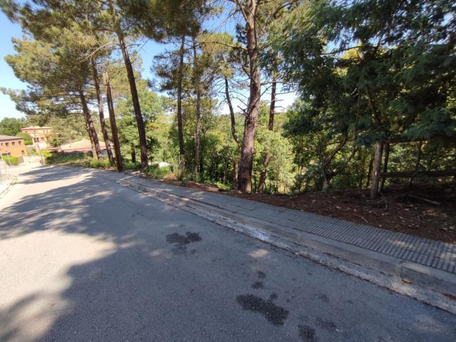 Terreno, Vidreres