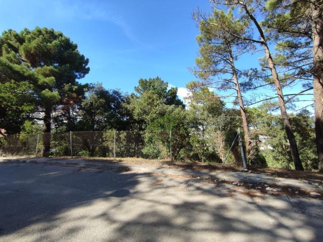 Terreno, Vidreres