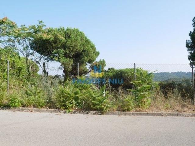 Terreno, Vidreres