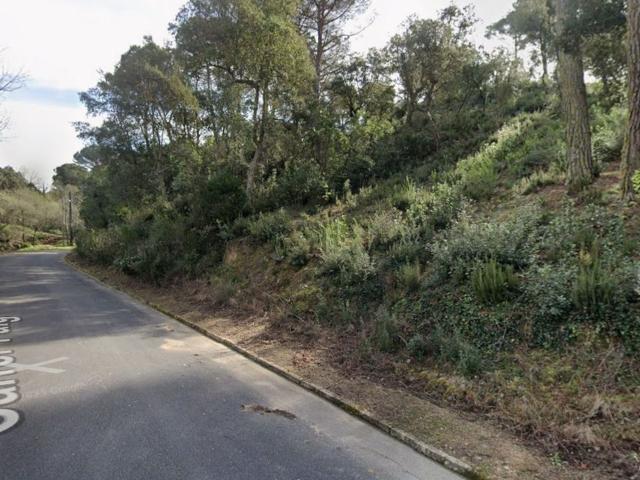 Terreno, Vidreres