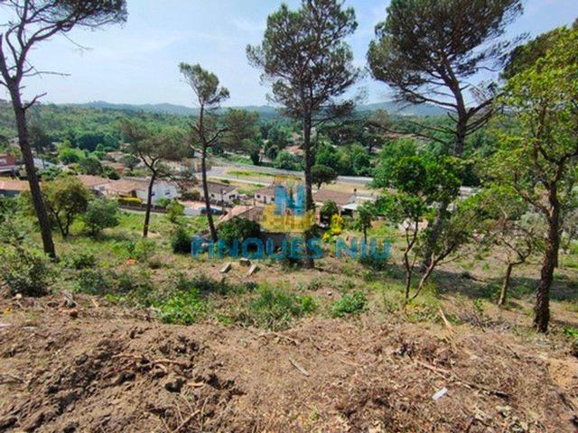 Terreno, Vidreres
