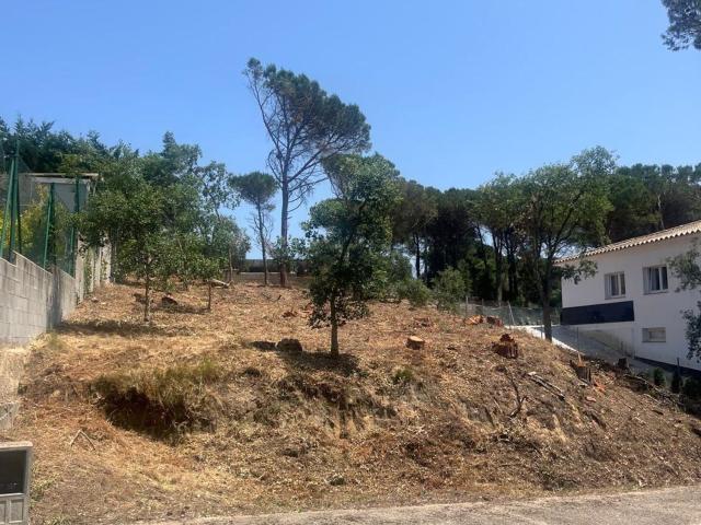 Terreno, Vidreres