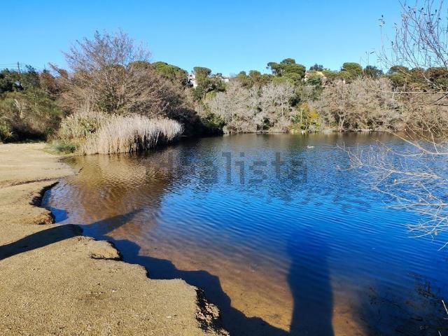Terreno, Vidreres