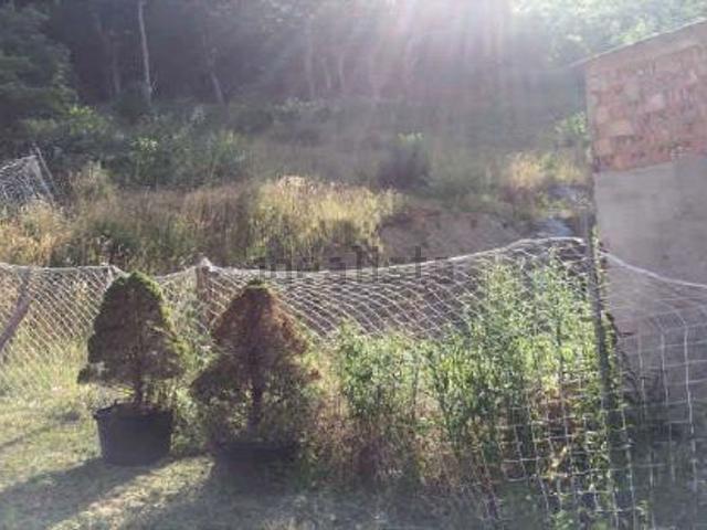 Terreno, Vielha
