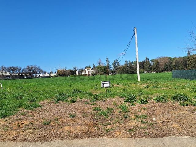 Terreno, Vilobi d&apos Onyar
