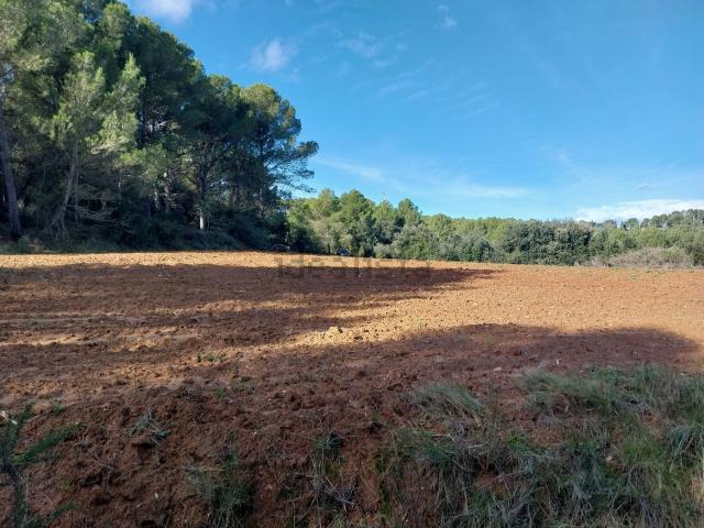 Terreno, Vilopriu
