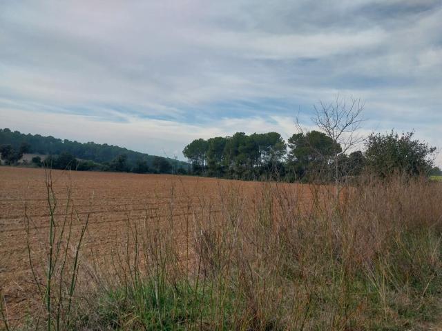 Terreno, Vilopriu