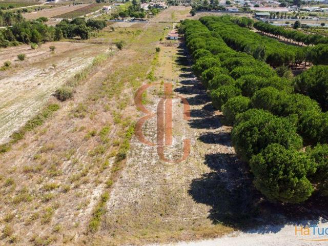 Terreno Vila Chã de Ourique | 26073859350