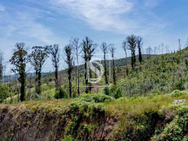 Terreno, Vila Garcia Aboim Chapa