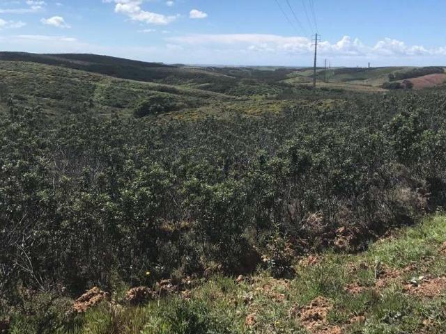 Terreno, Vila do Bispo e Raposeira
