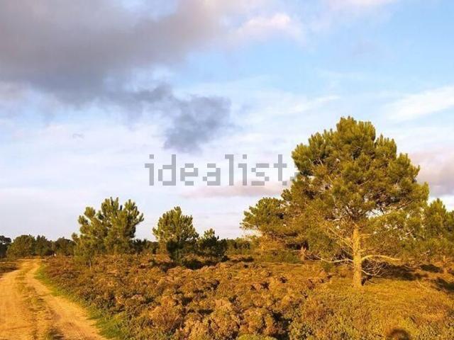 Terreno, Vila do Bispo e Raposeira