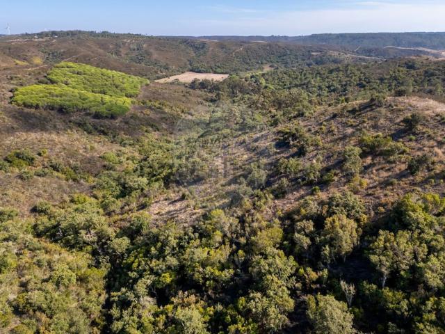 Terreno, Vila do Bispo e Raposeira