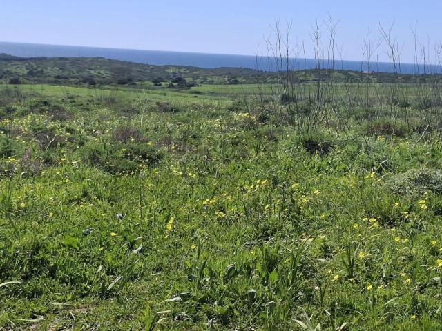 Terreno, Vila do Bispo e Raposeira