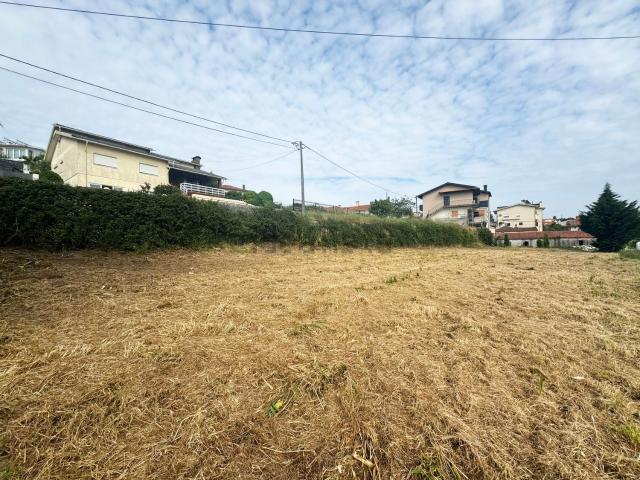 Terreno, Vila de Cucujães