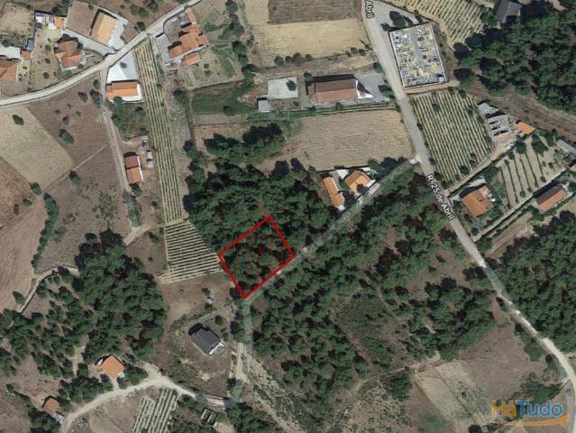 Terreno ? Vila Nova de Veiga | 26083518699
