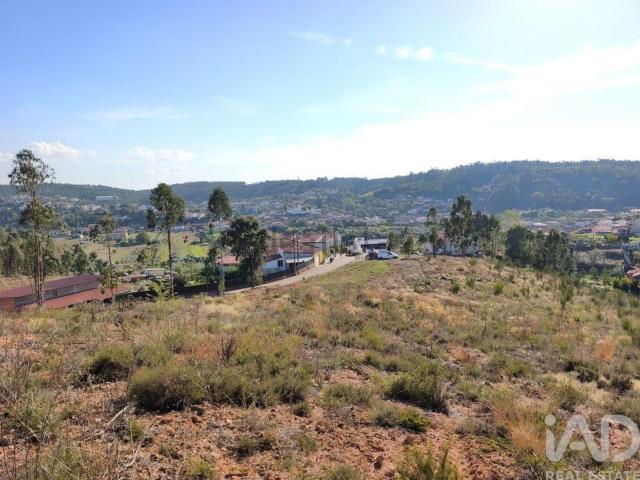 Terreno, Vila Nova de Monsarros