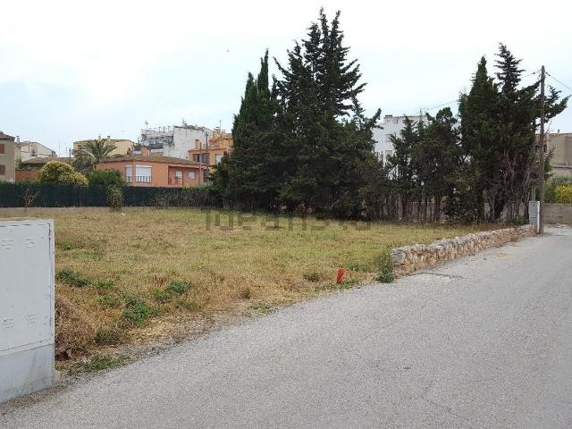 Terreno, Vila Sacra