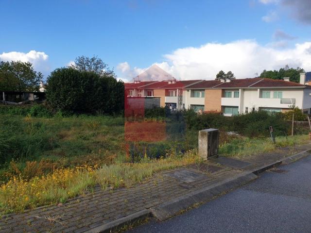 Terreno, Vila Verde e Barbudo