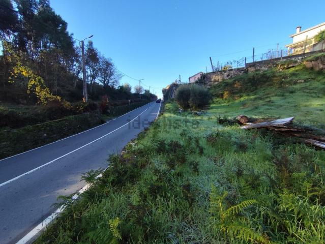 Terreno, Vila Verde e Barbudo