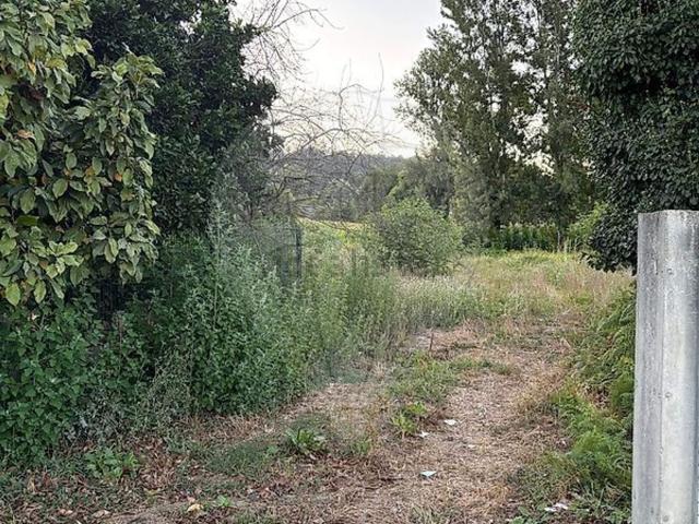 Terreno, Vila Verde e Barbudo