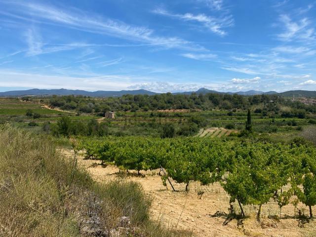 Terreno, Vilabella