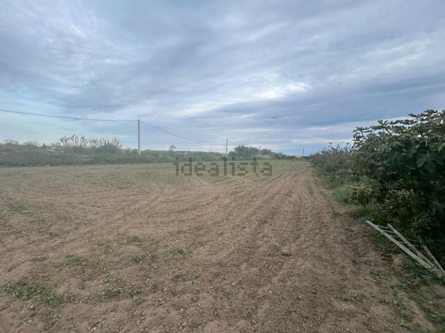 Terreno, Viladecans