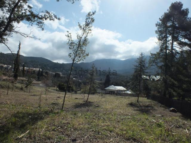 Terreno, Viladrau