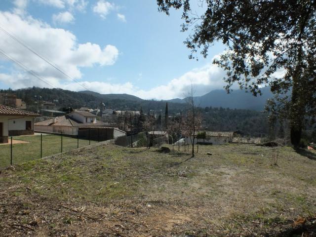 Terreno, Viladrau