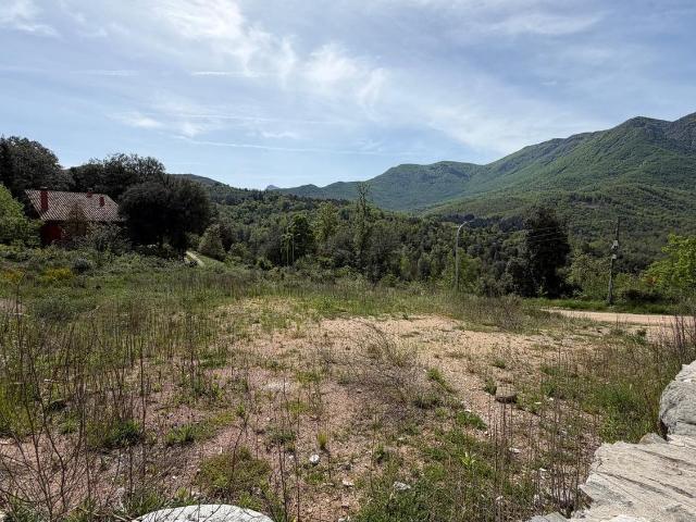 Terreno, Viladrau