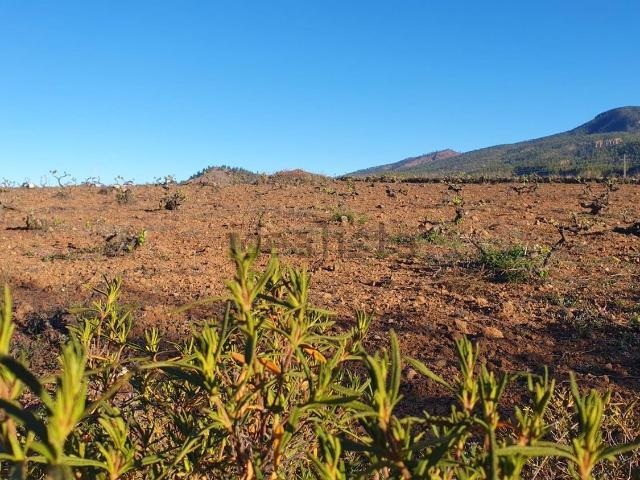 Terreno, Vilaflor