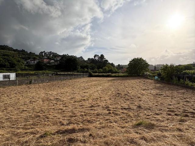 Terreno, Vilagarcía de Arousa