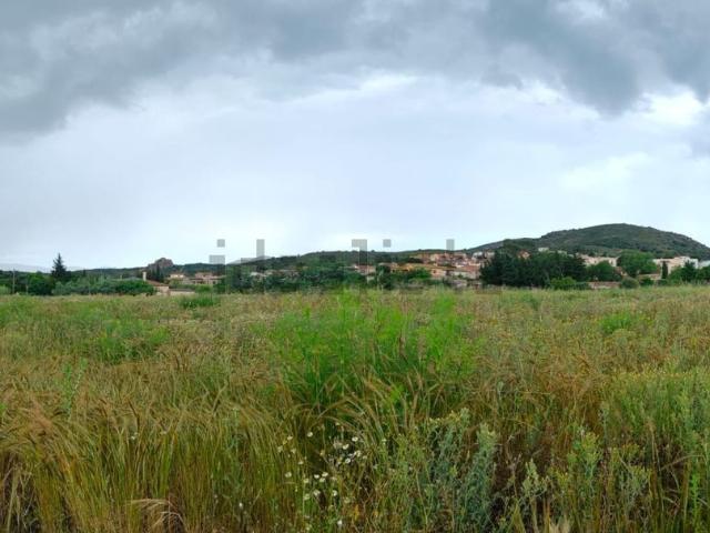 Terreno, Vilajuíga