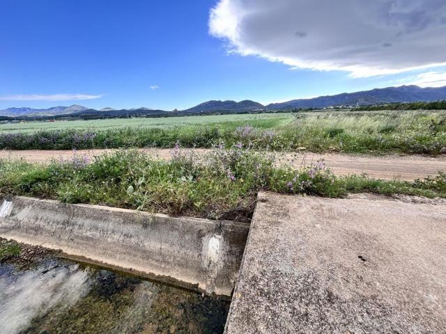 Terreno, Vilajuíga