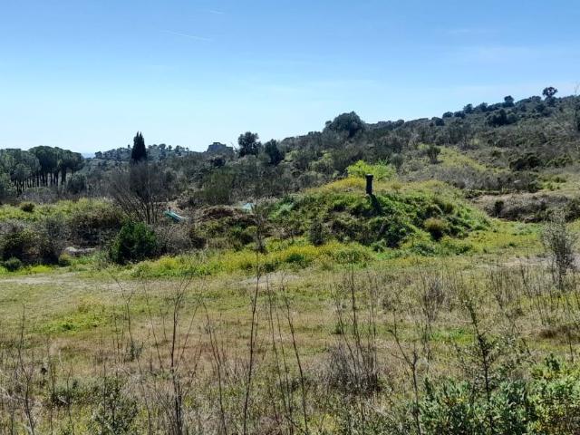 Terreno, Vilajuíga