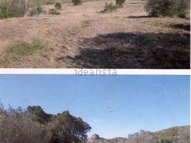 Terreno, Vilajuíga