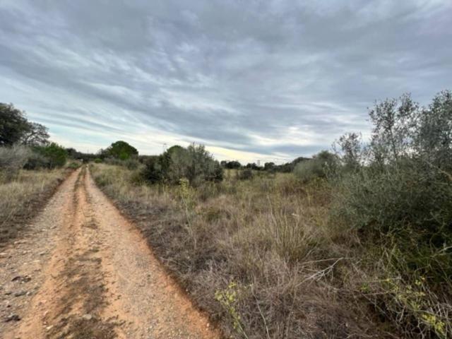 Terreno, Vilallonga del Camp