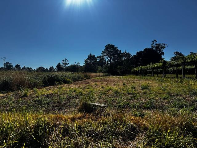 Terreno, Vilanova de Arousa