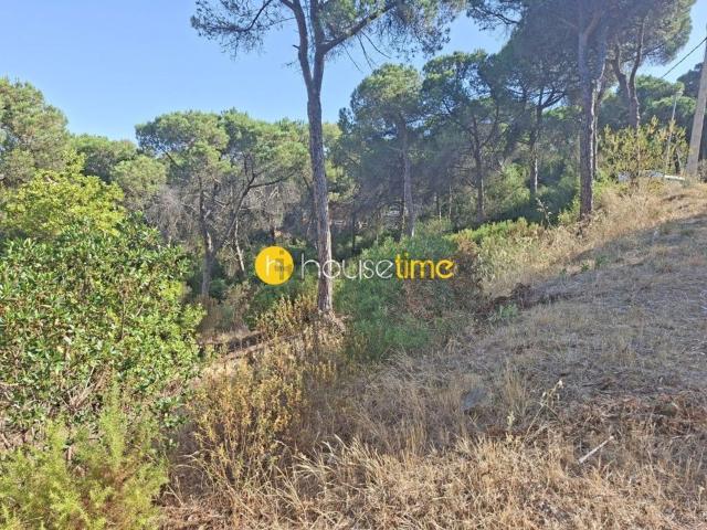 Terreno, Vilanova del Vallès