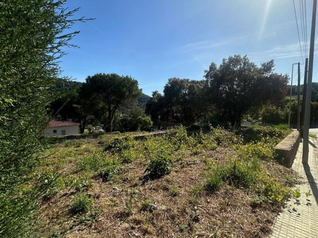Terreno, Vilanova del Vallès