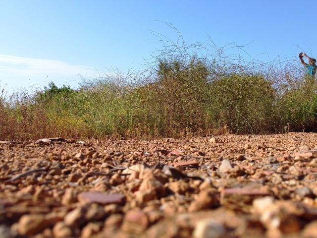 Terreno, Vilanova i la Geltrú