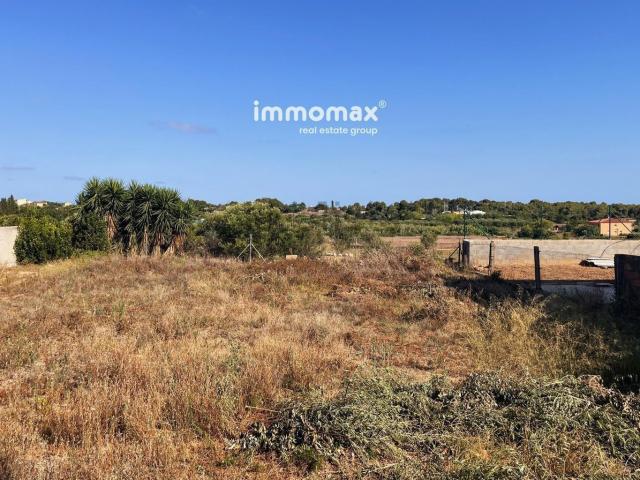 Terreno, Vilanova i la Geltrú