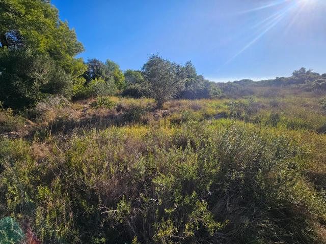 Terreno, Vilanova i la Geltrú