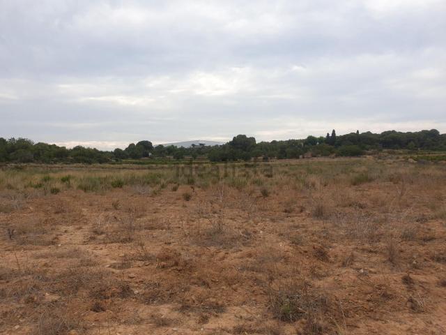 Terreno, Vilanova i la Geltrú