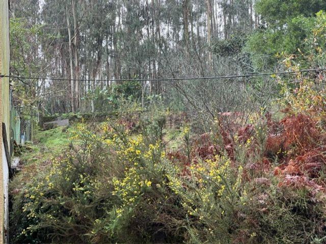 Terreno, Vilar de Andorinho