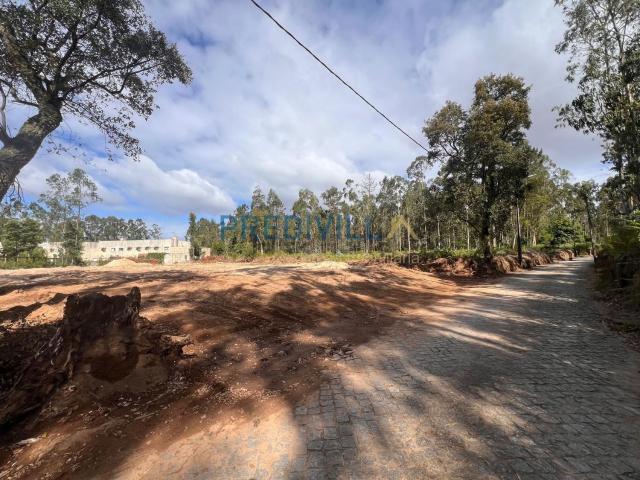 Terreno, Vilar e Mosteiró