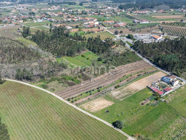 Terreno, Vilarinho do Bairro
